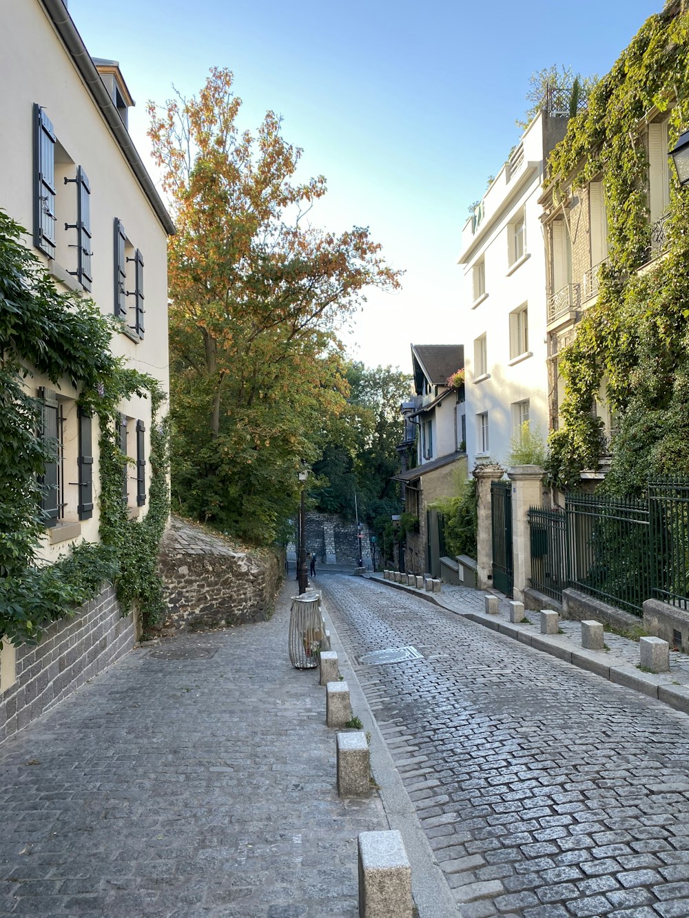 Graue Betonstraße zwischen grünen Bäumen und weißem Betongebäude tagsüber