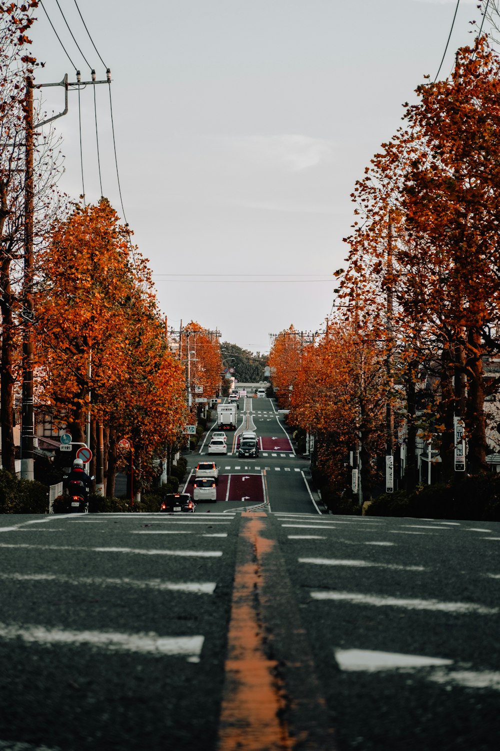 people walking on the street during daytime