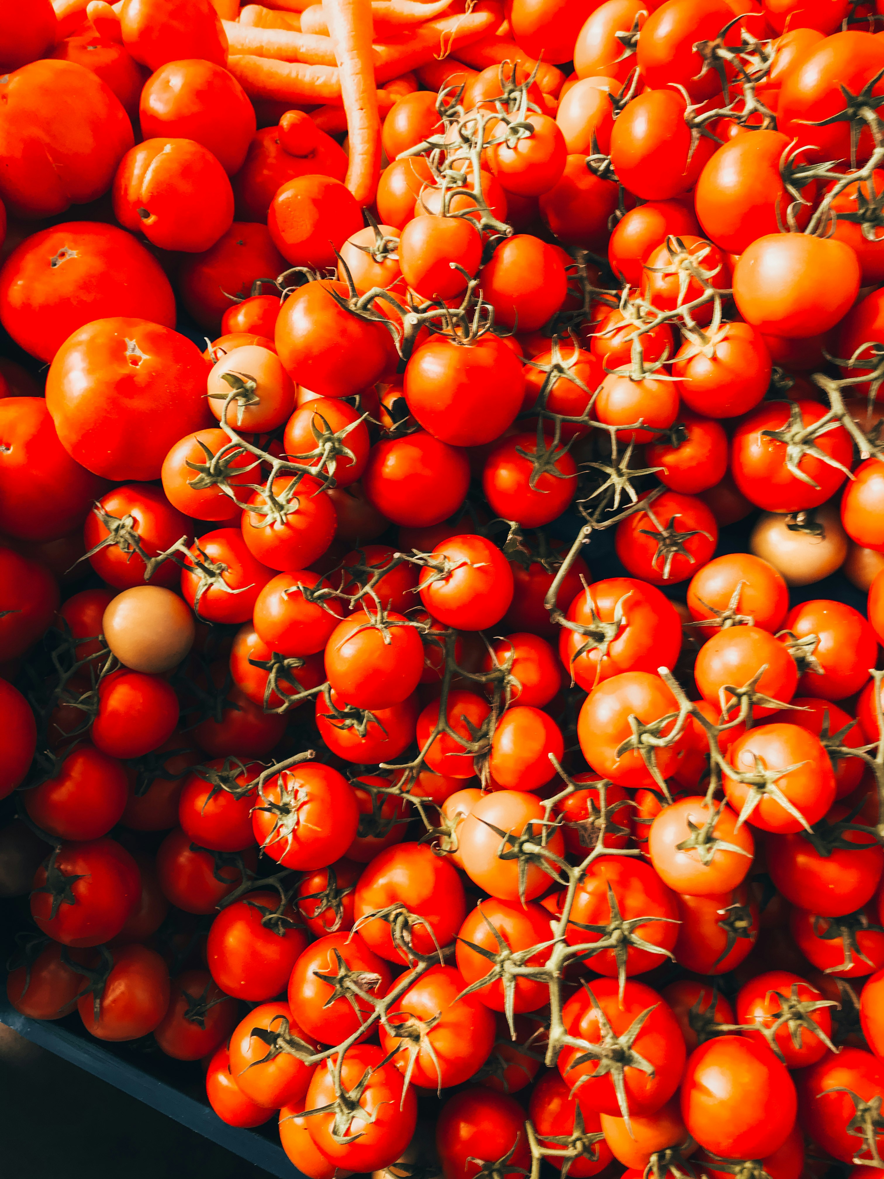 Photo by caspersomia