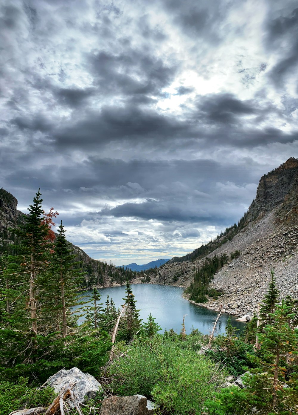 green pine trees near lake under cloudy sky during daytime