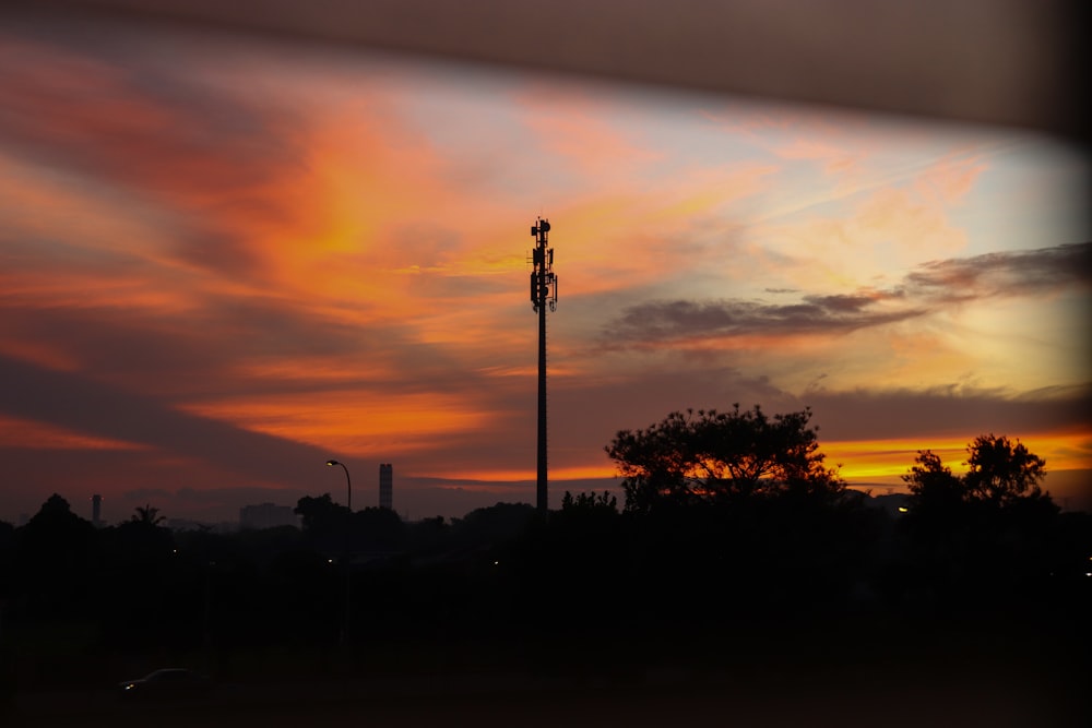 Silueta de árboles durante la puesta del sol