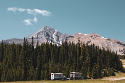 Two full hook-up RV slips nestled among tall trees with mountain views.