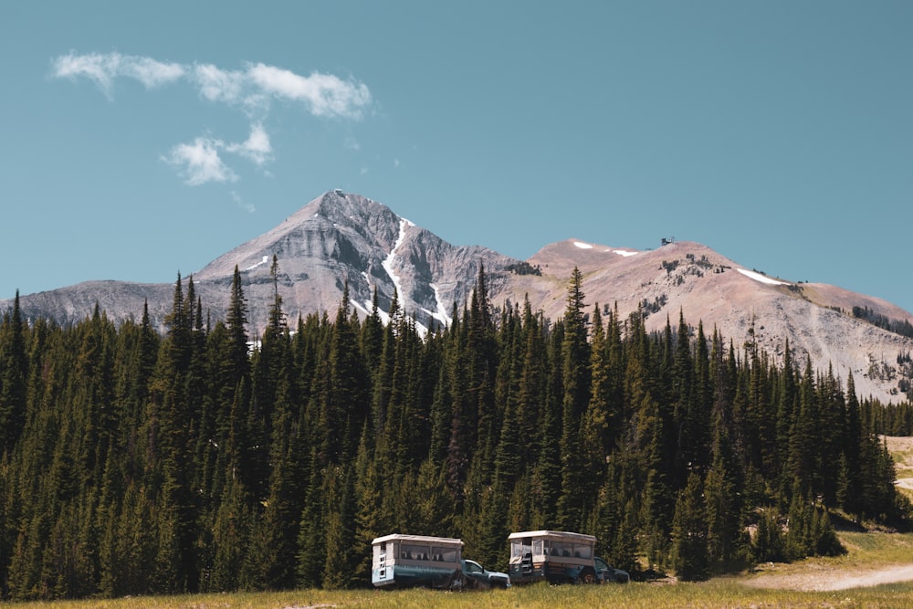 Maison blanche et brune près des arbres verts et de la montagne sous le ciel bleu pendant la journée