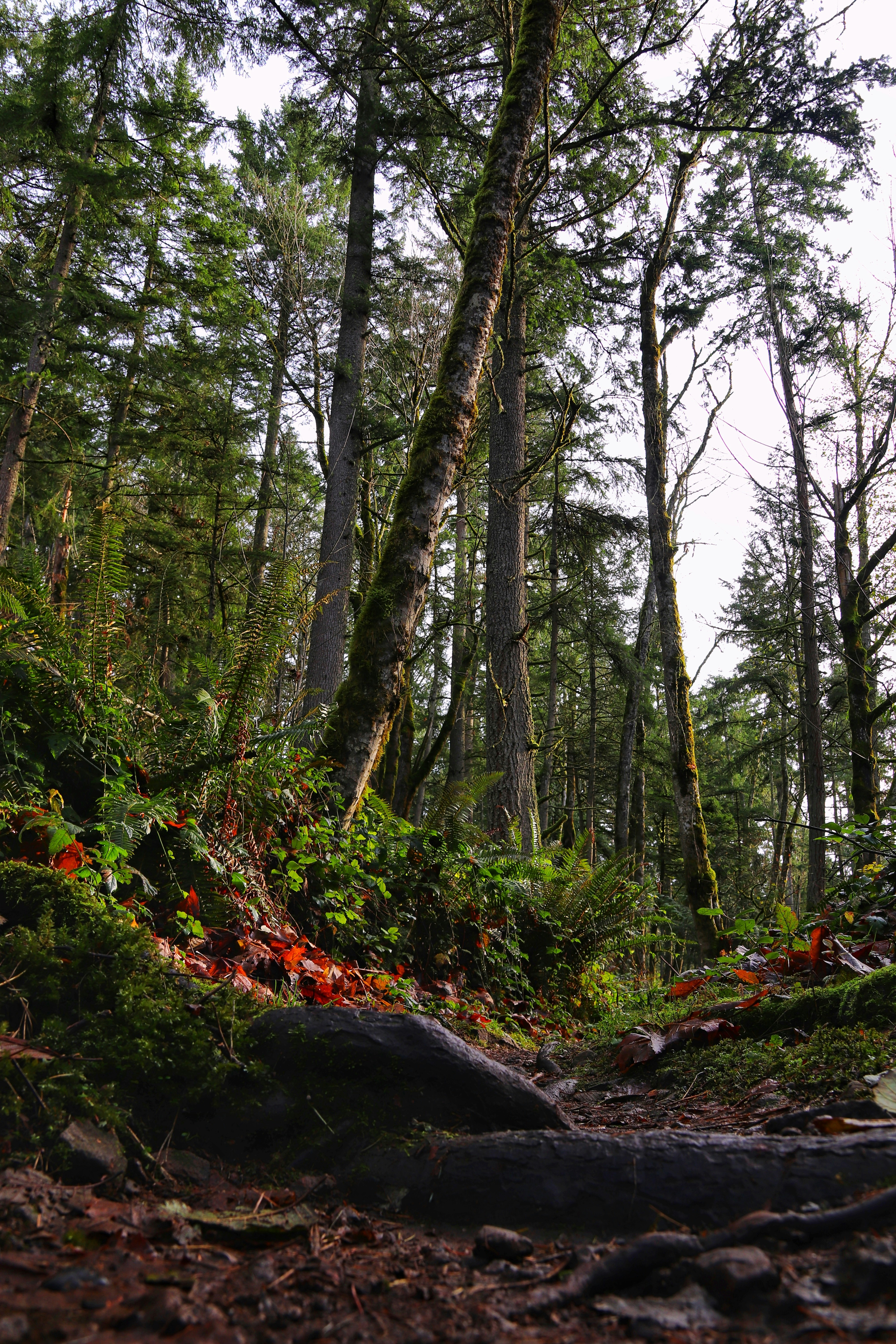 Photo by m_mendez_ix