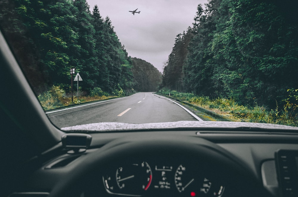 car on road between trees during daytime