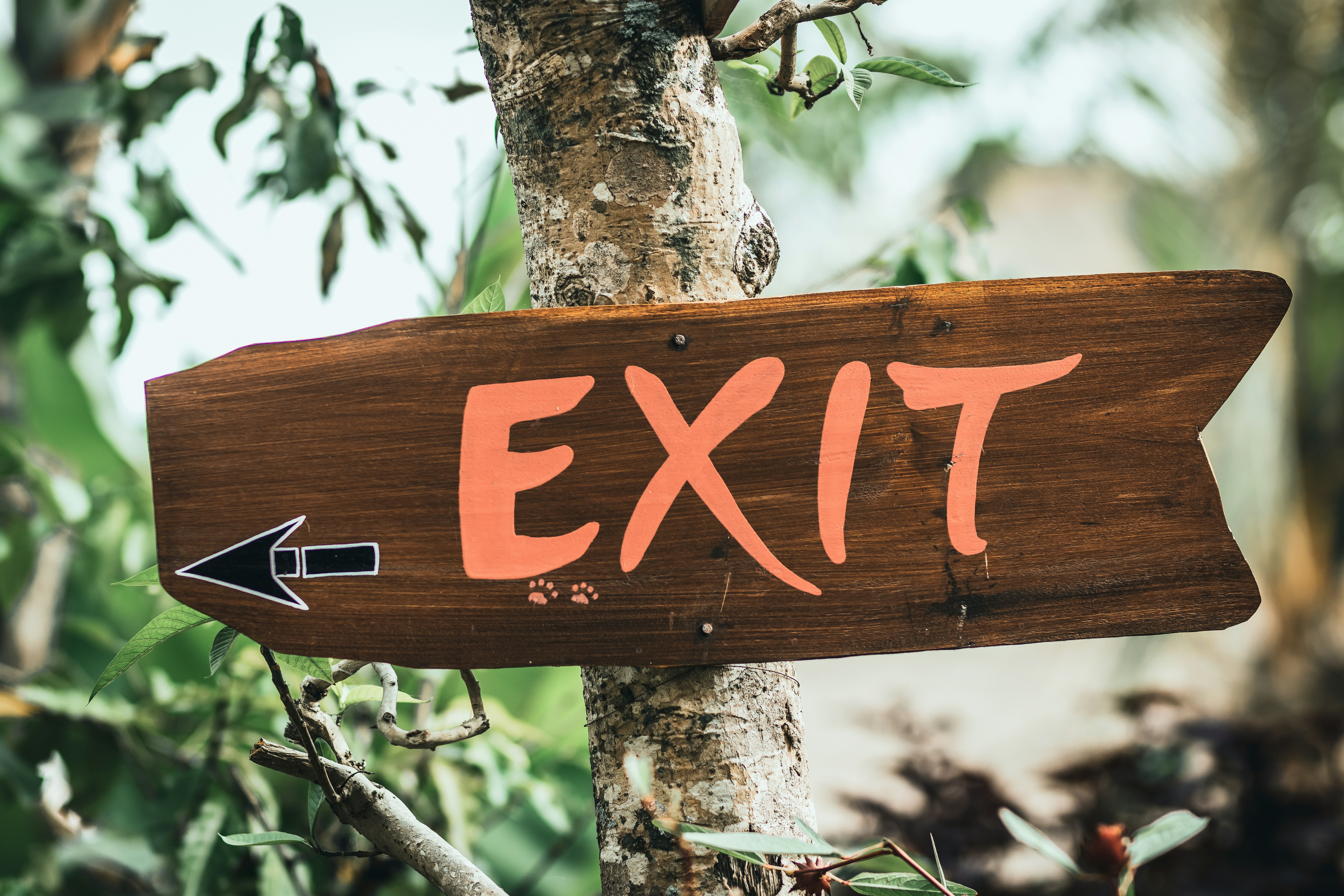 brown wooden signage on tree