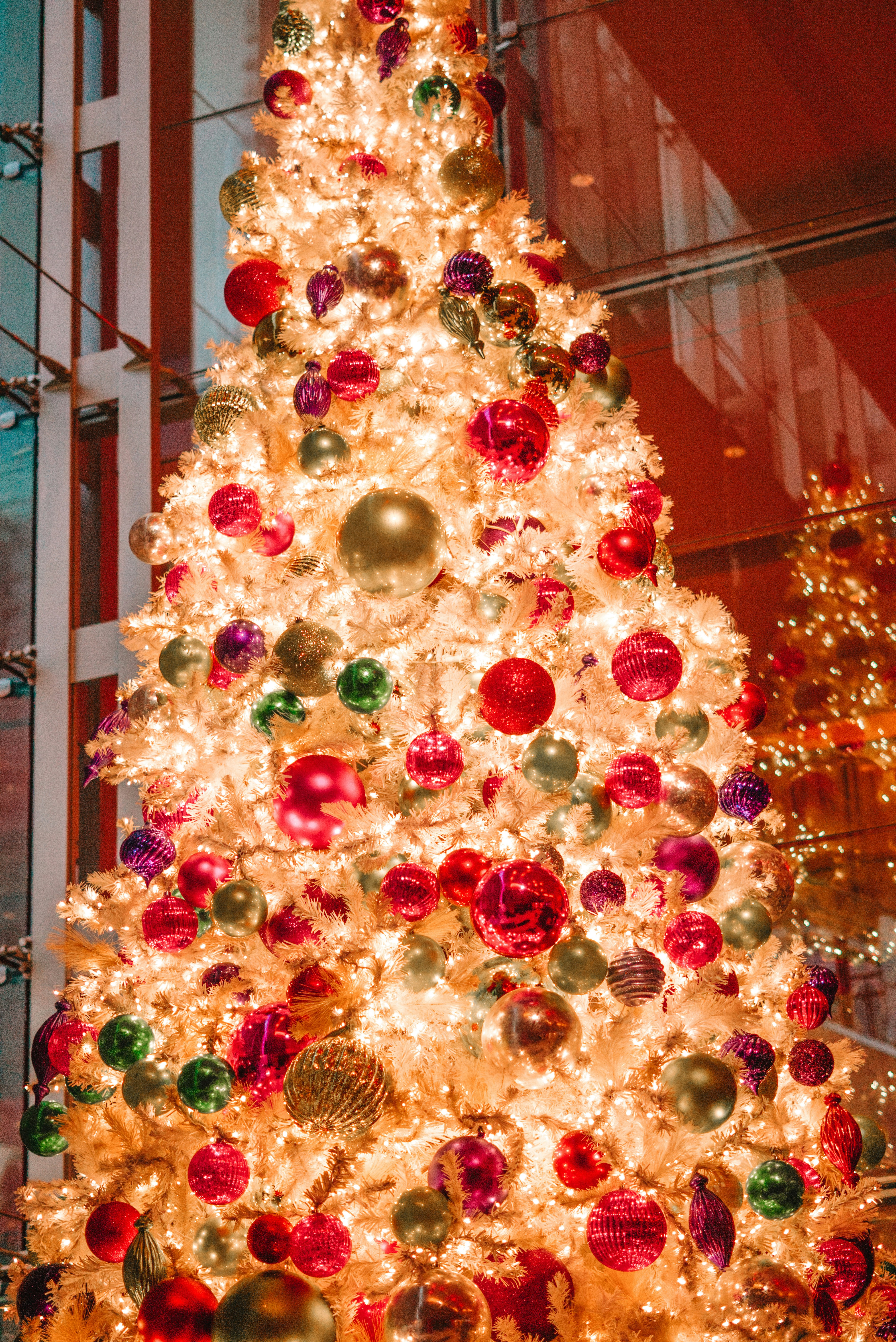 Photo by drizzy_bear86