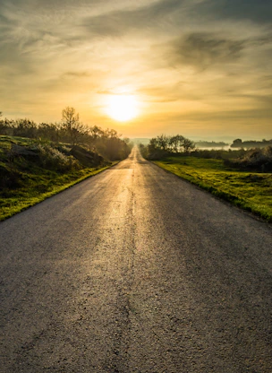 gray concrete road between green grass field under cloudy sky during daytime