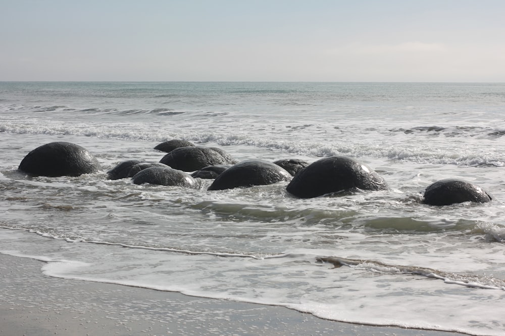 black rocks on sea shore during daytime