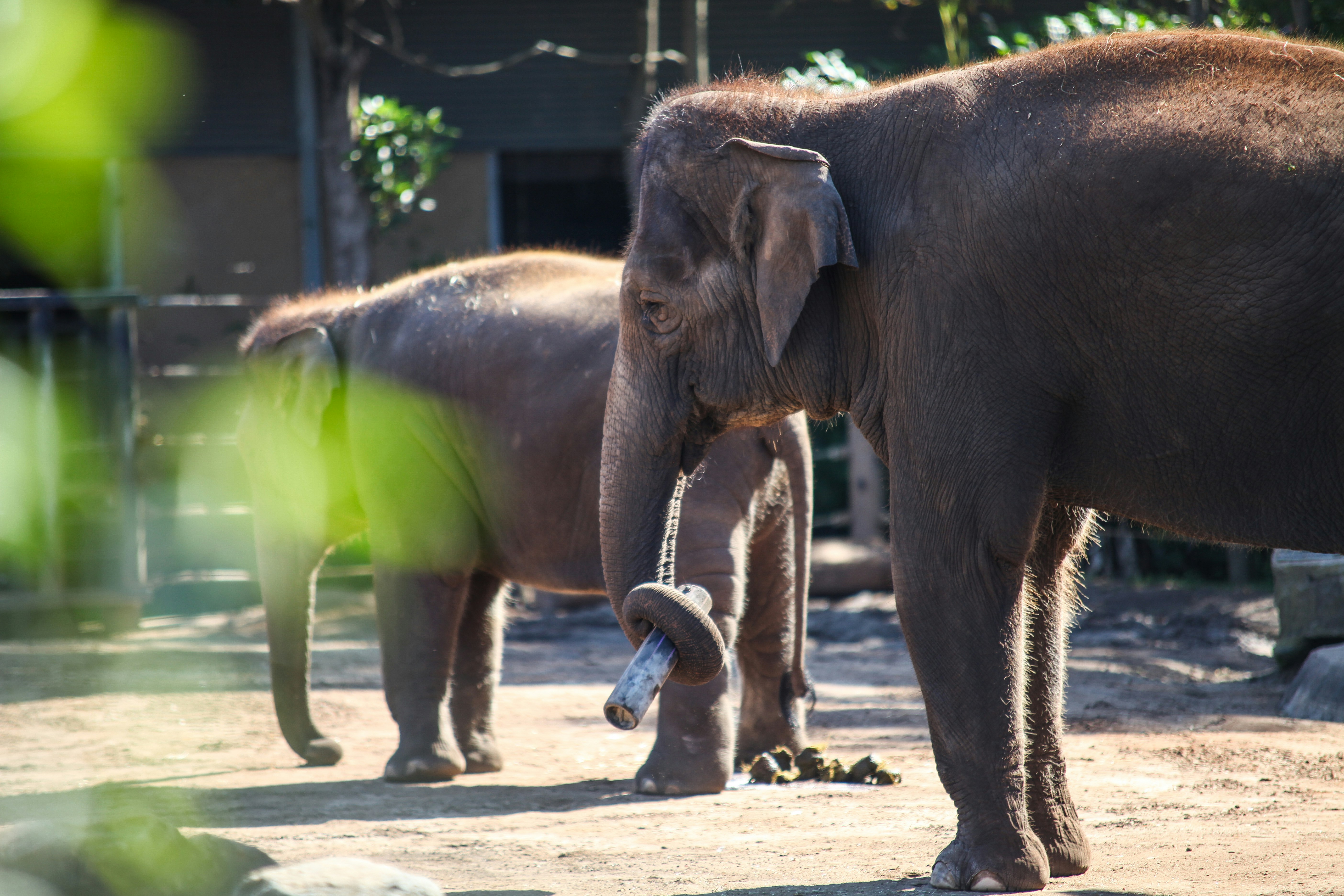 Students learning about animals at Taronga Zoo