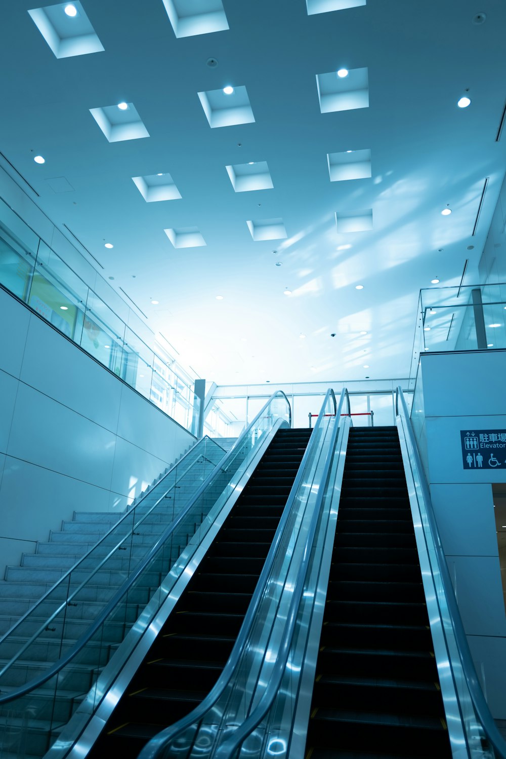 white and black escalator in white room