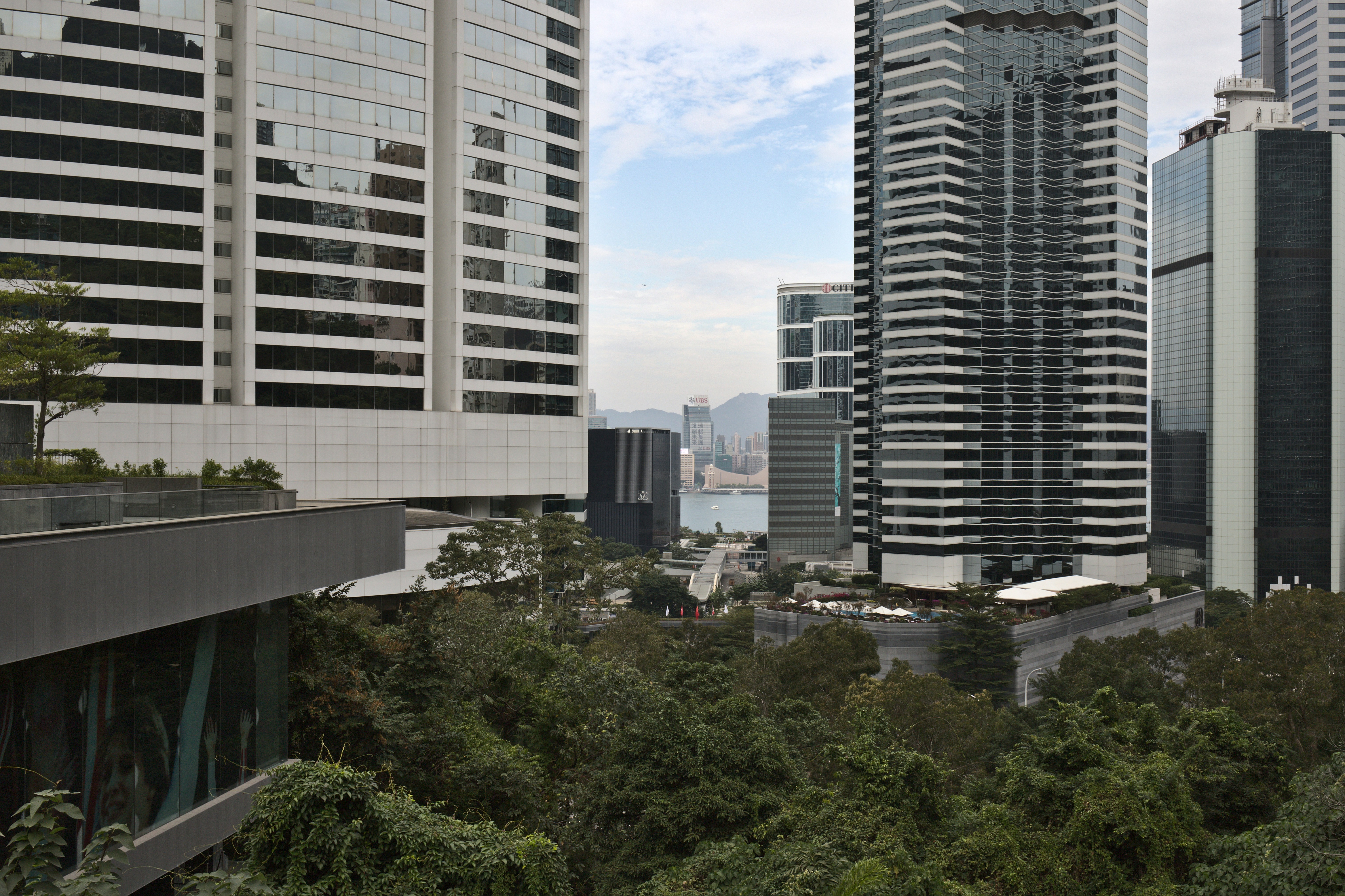 Photo by chromatograph