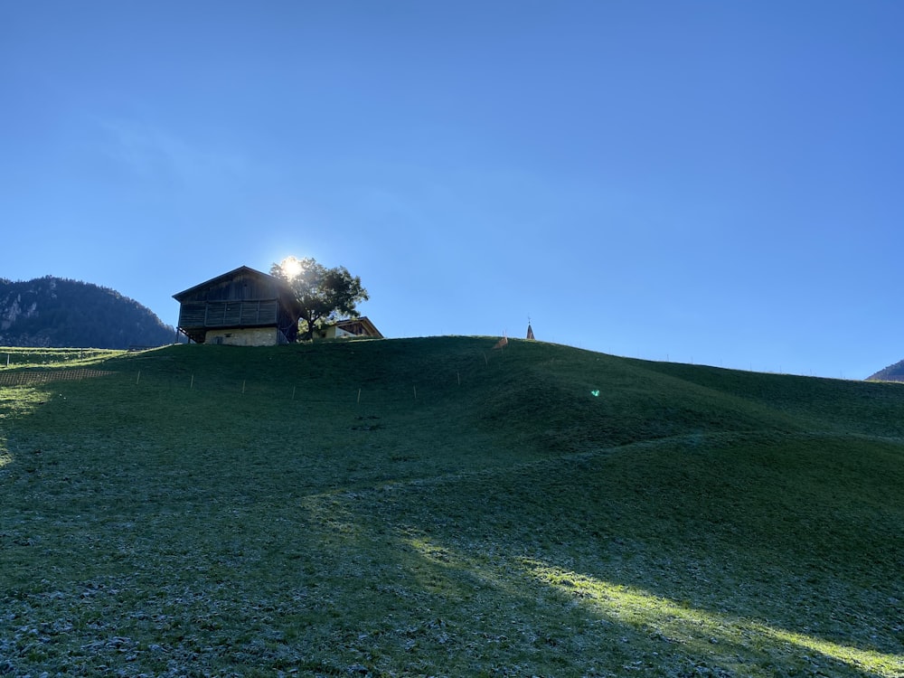 green grass field under blue sky during daytime