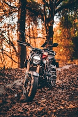 A close-up of a custom-built motorcycle parked on a rugged trail at sunset.