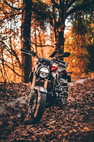 A rugged motocross bike parked on a dirt trail with neon accents glowing under sunset light.