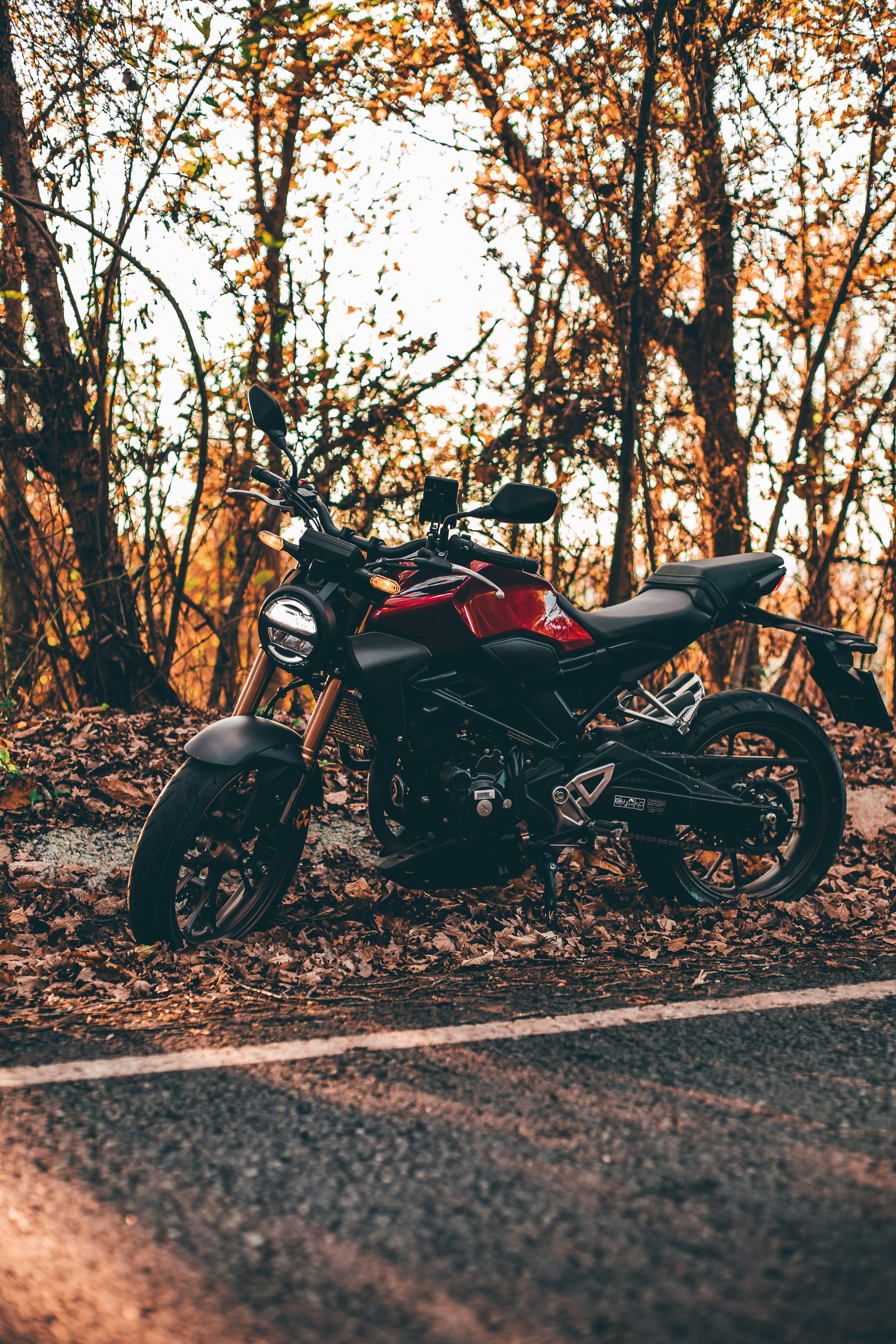Choose from the highest quality selection of high-definition wallpapers-all submitted by our talented community of contributors. Free to download and use for your mobile and desktop screens.