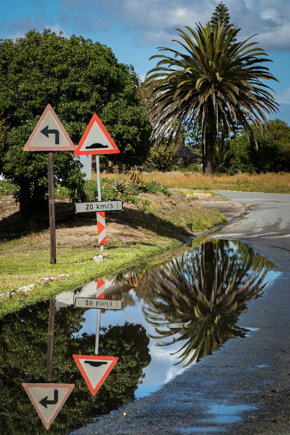 red and white road sign near green palm tree during daytime