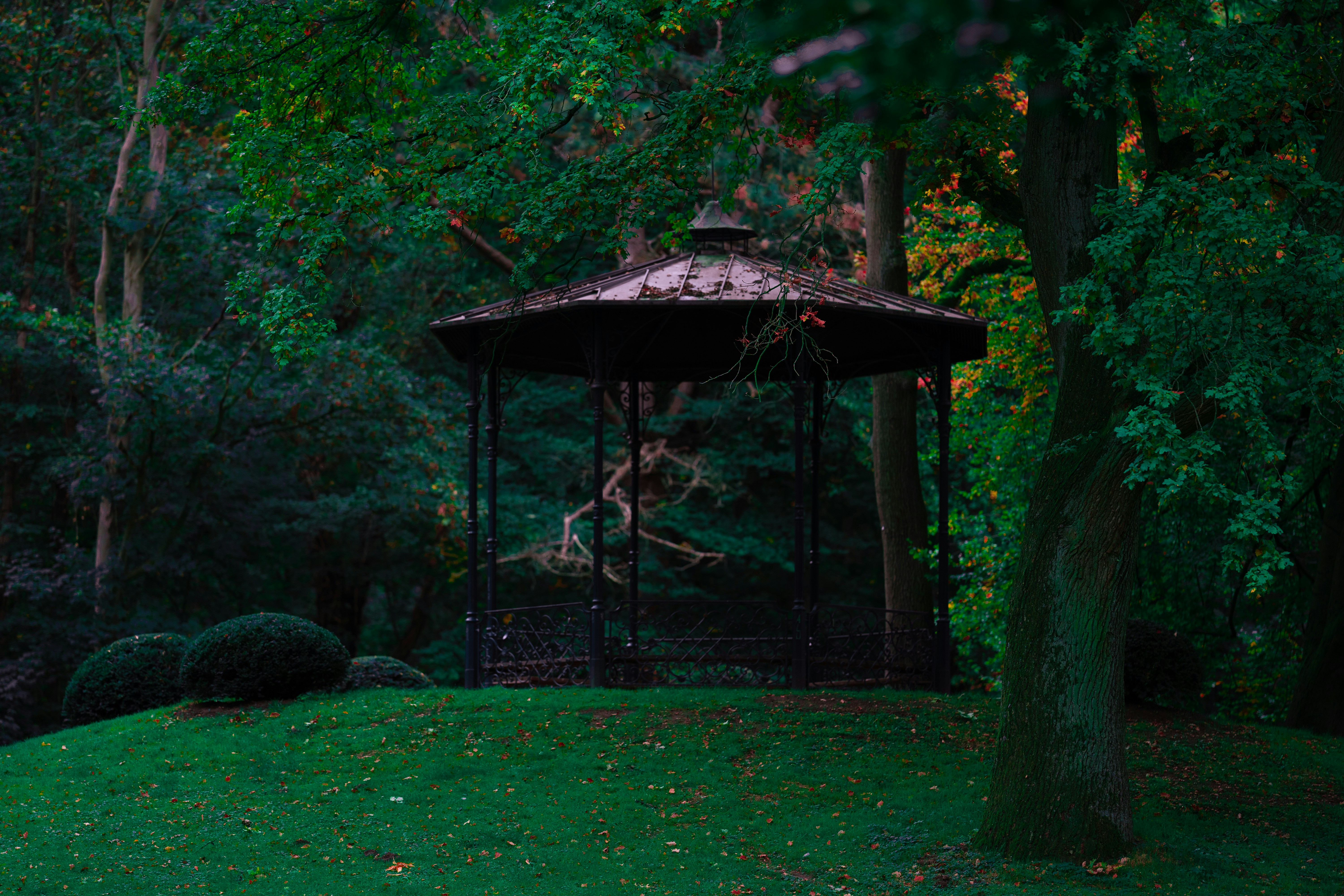 Photo by omarvellous14