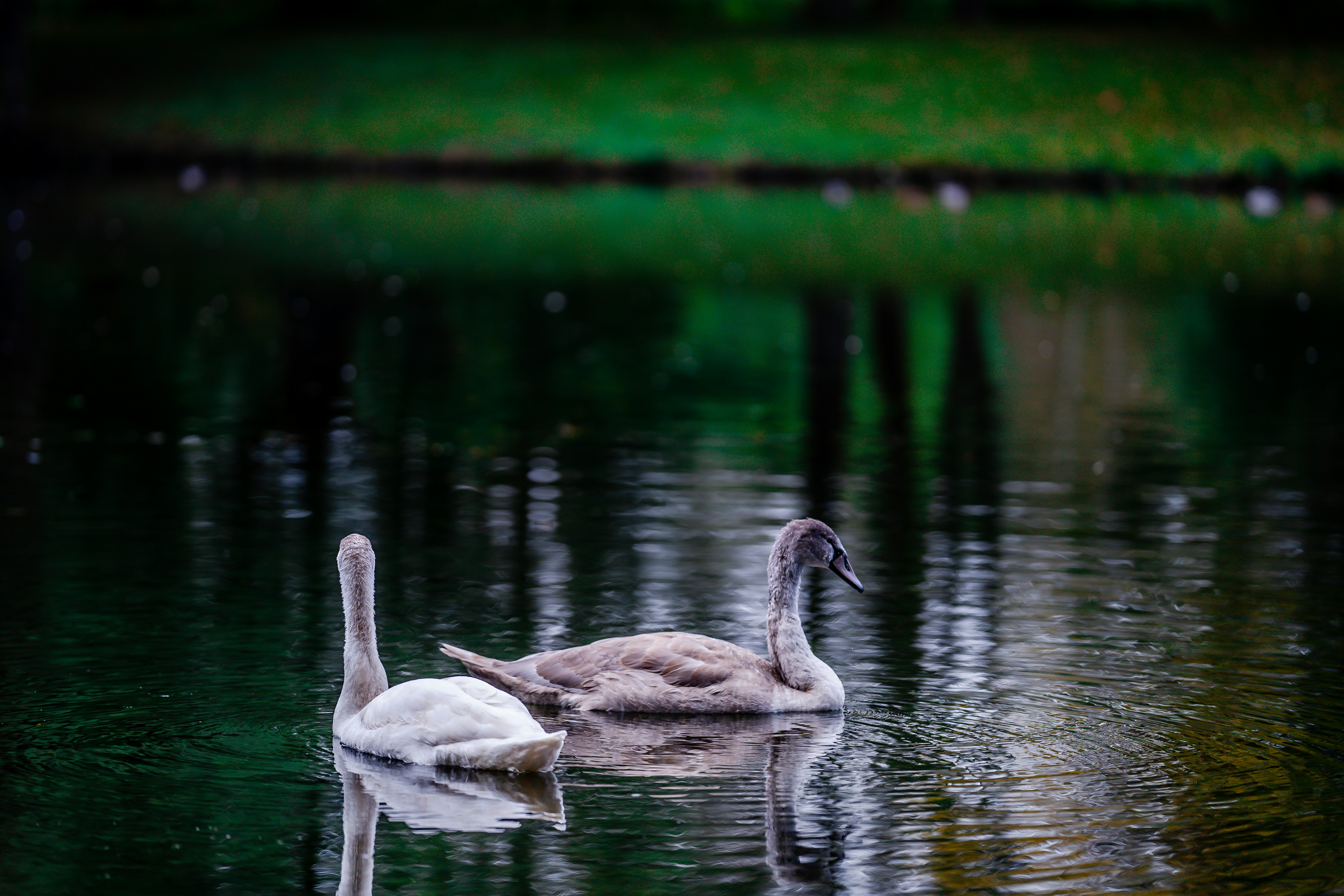 Photo by omarvellous14