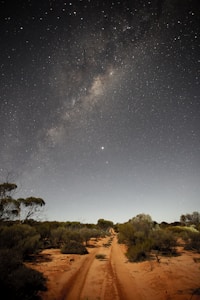 Atacama Stargazing