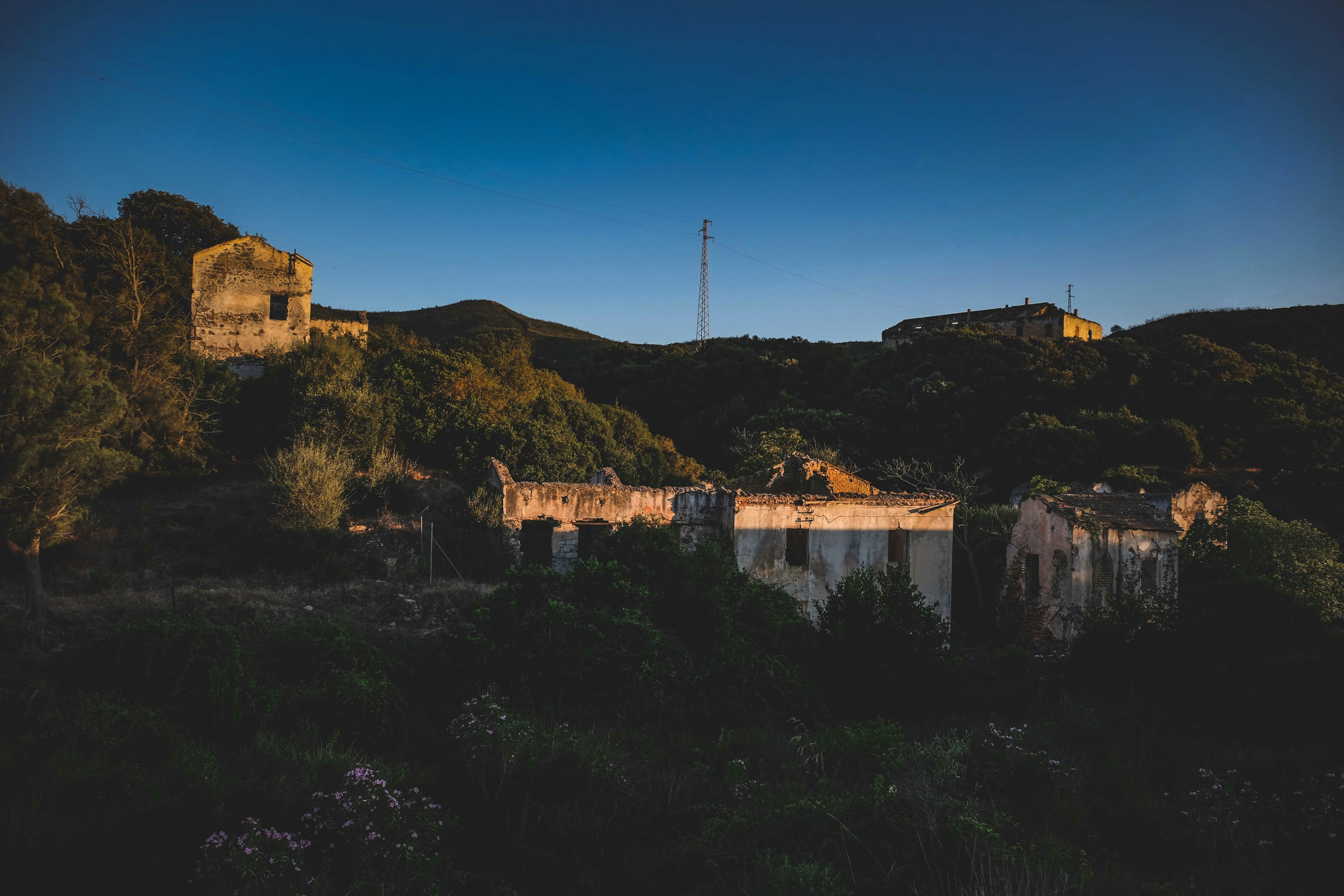 Photo by francesco_ungaro