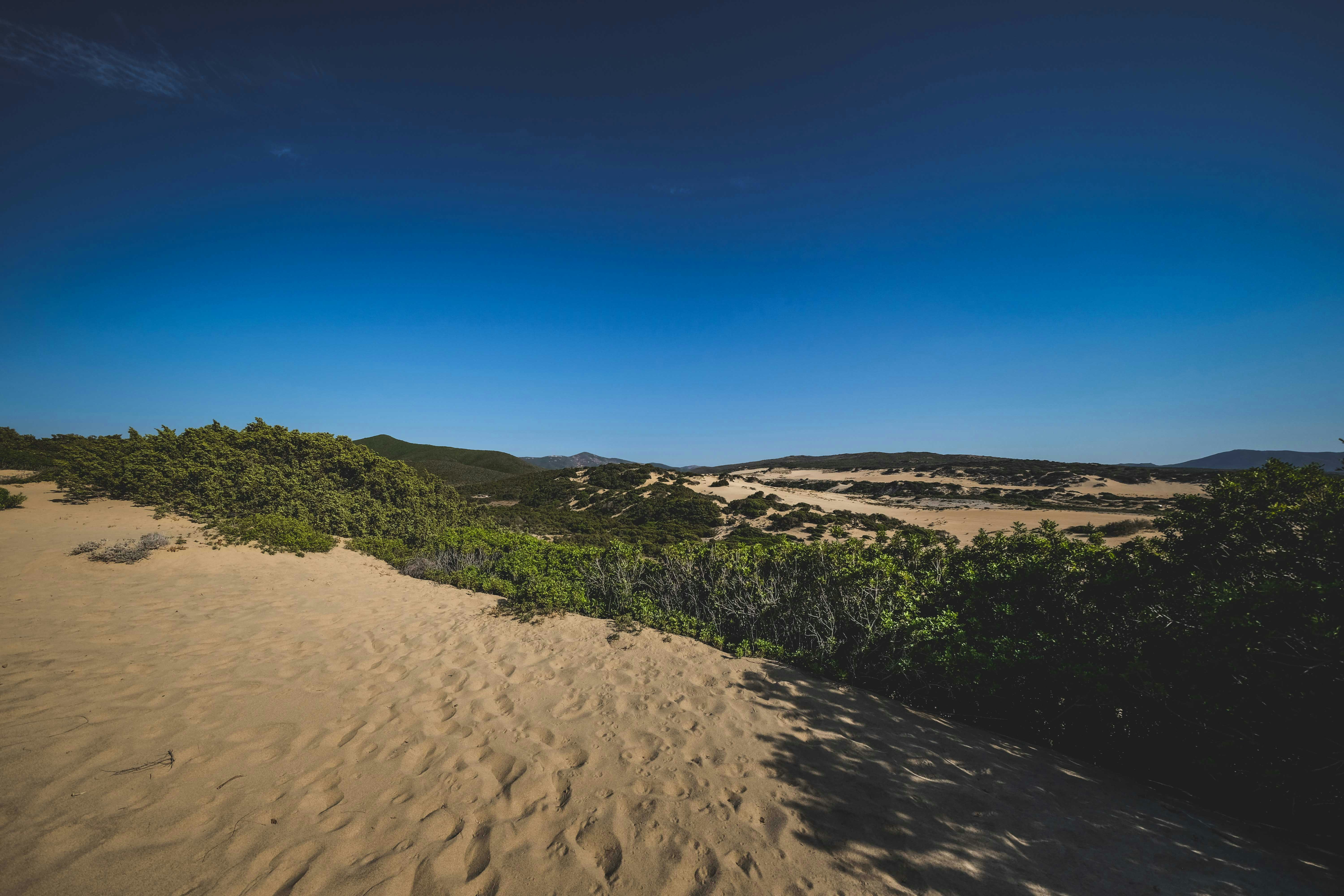 Photo by francesco_ungaro