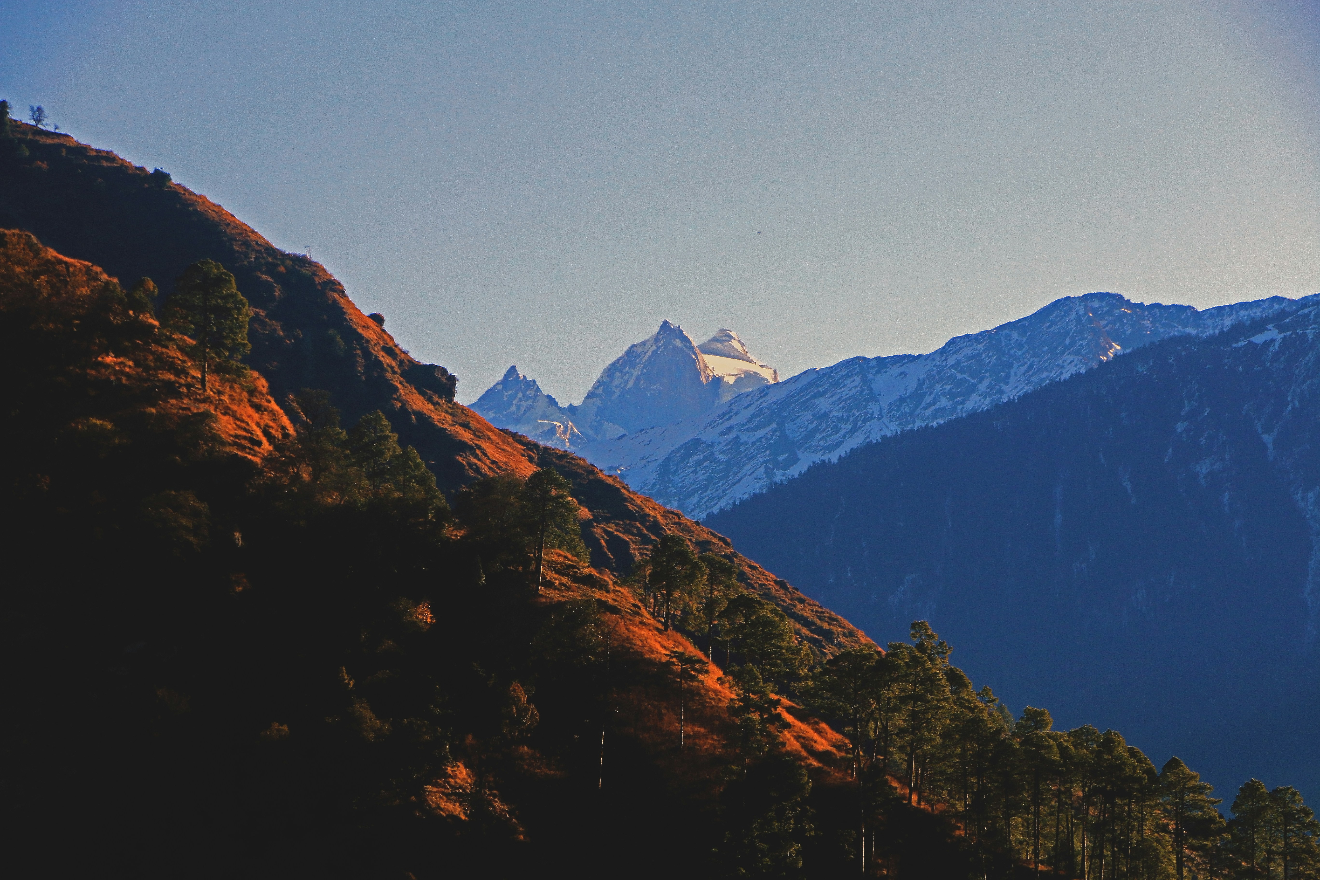 Photo by neha1301039