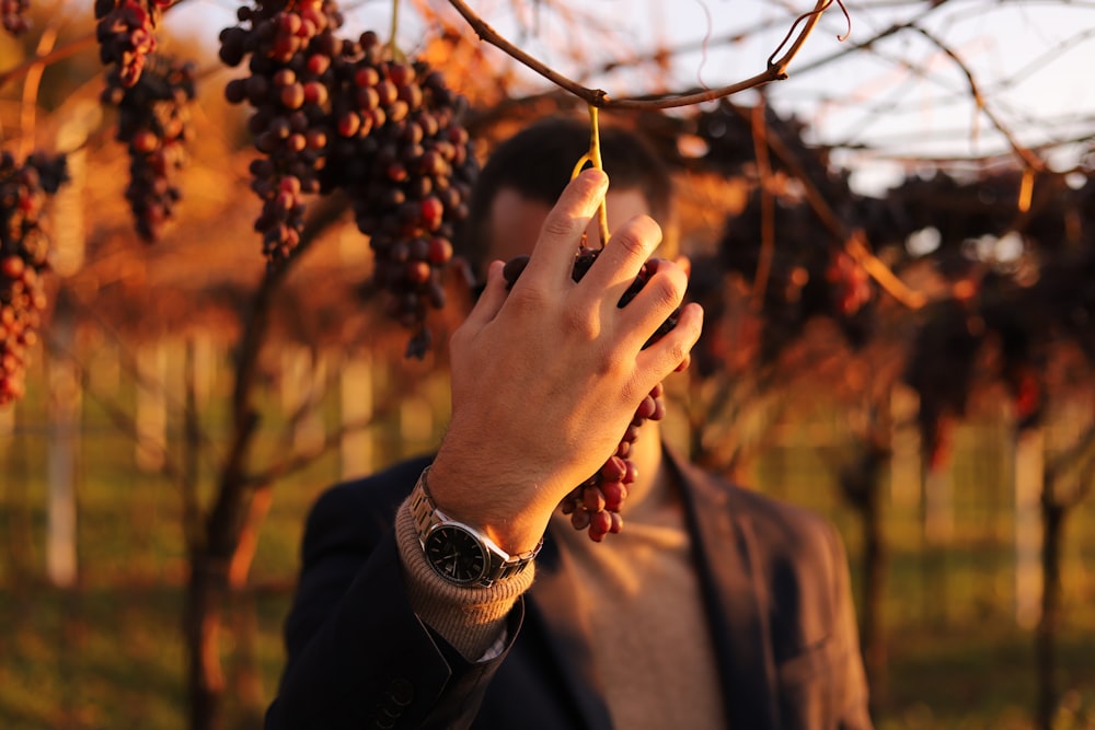 person in black long sleeve shirt holding brown leaves during daytime