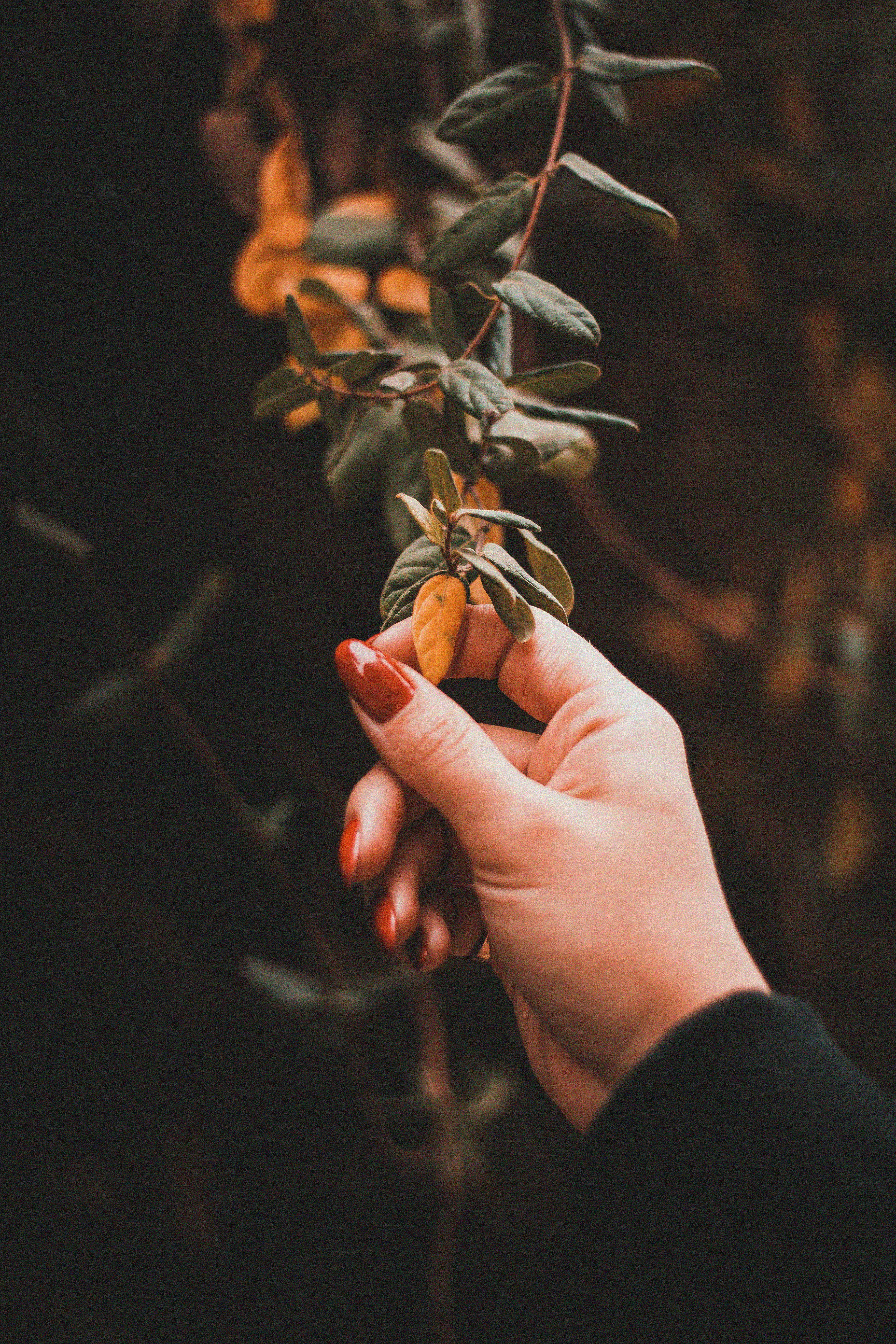 Photo by hamedpicsart