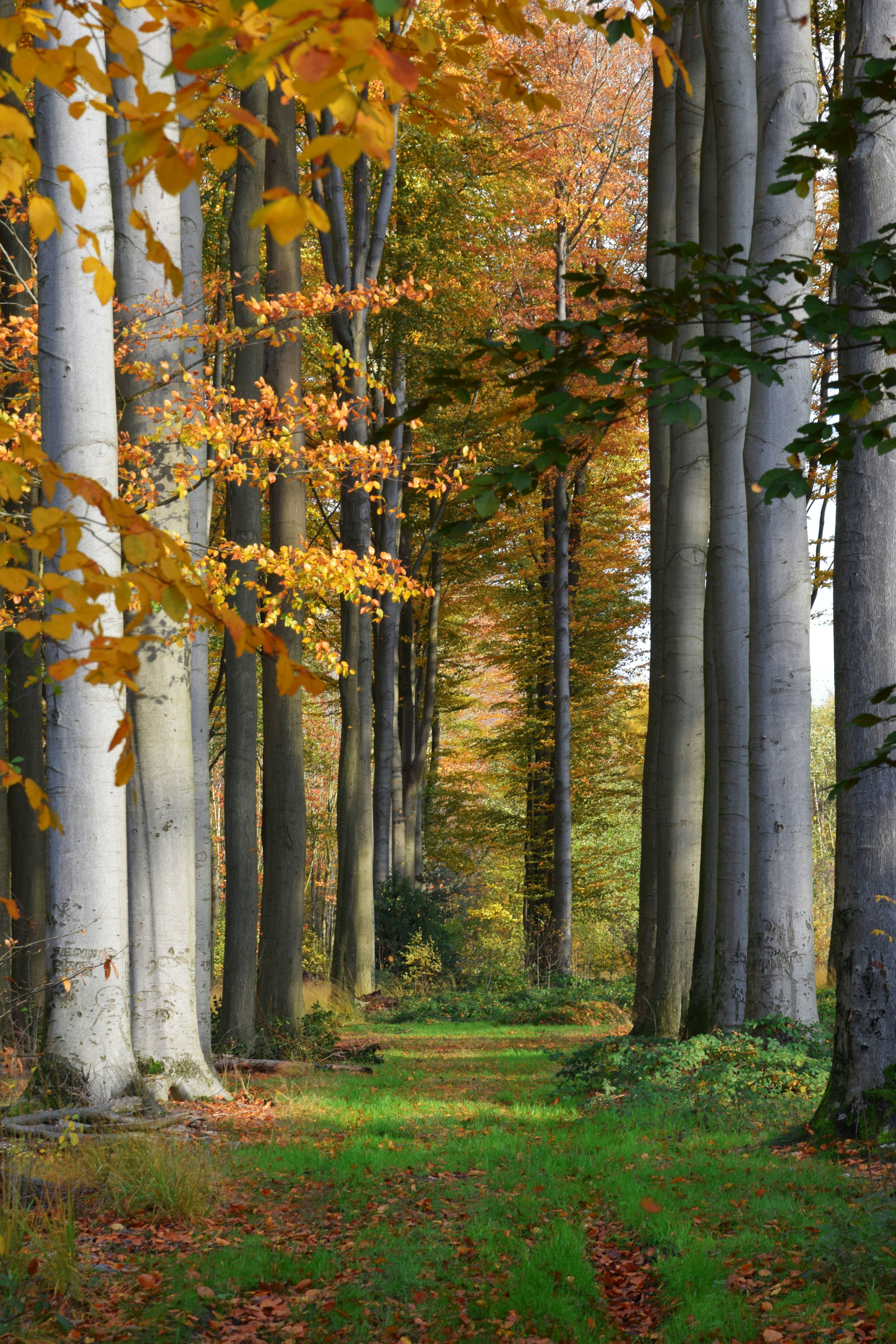 Photo by tomvansichem