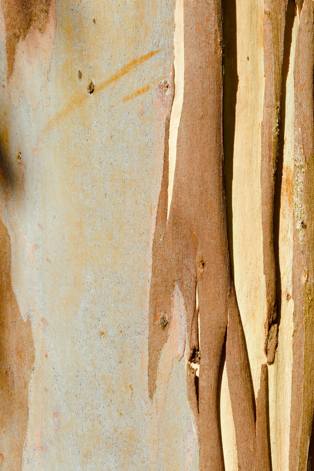 brown wood on gray concrete floor