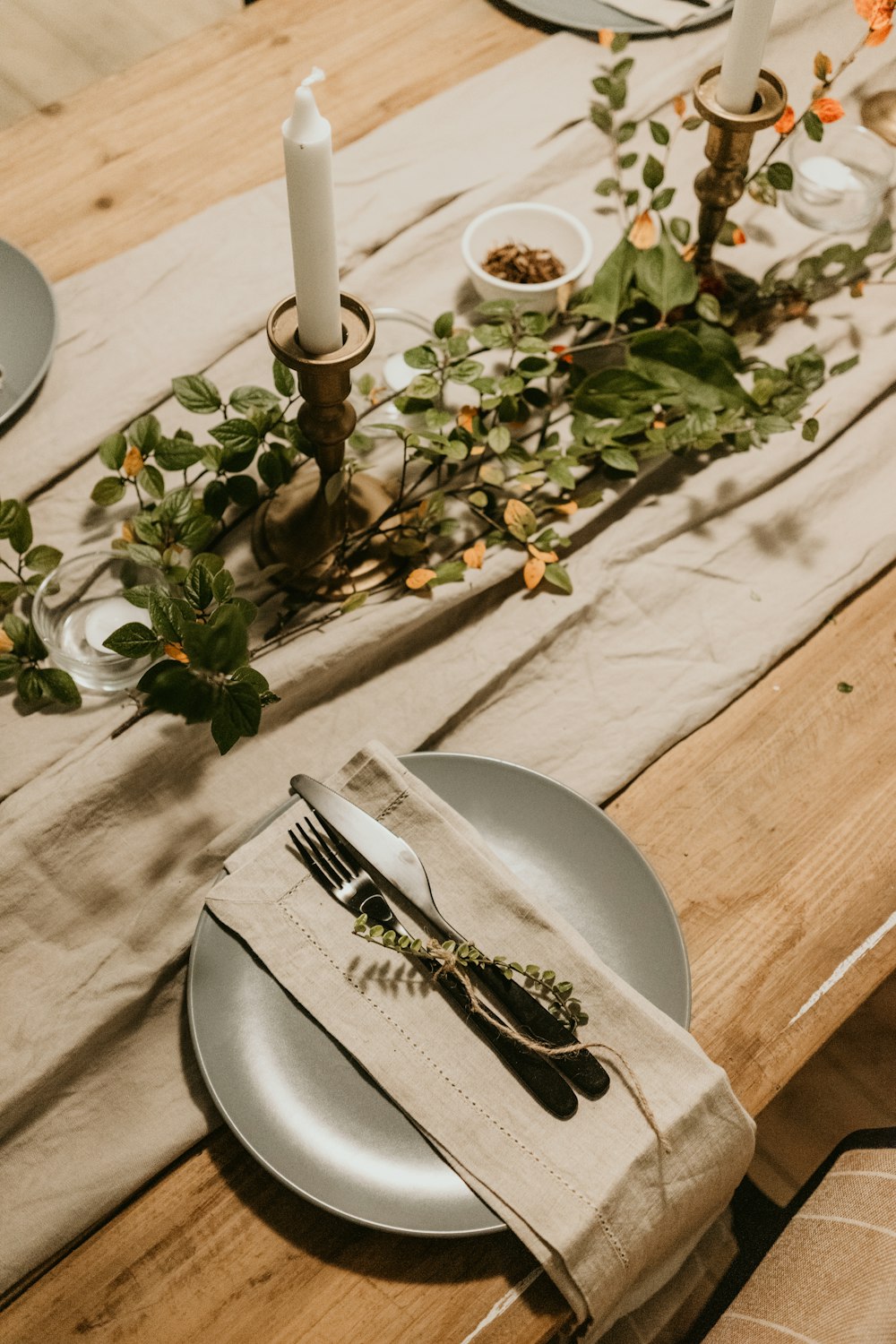 green plant on white ceramic pot