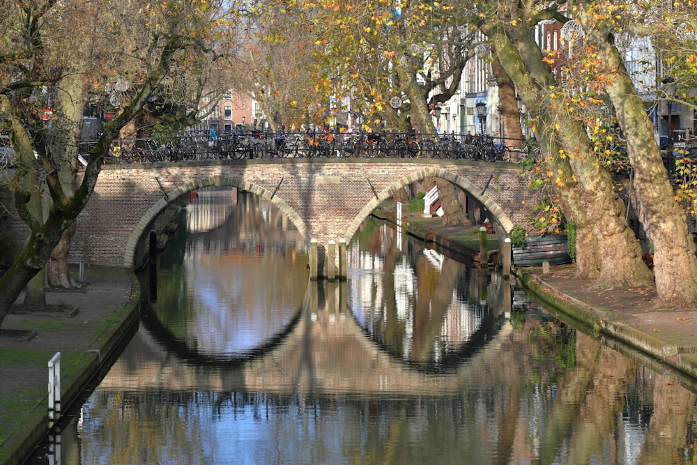 brown concrete bridge over river