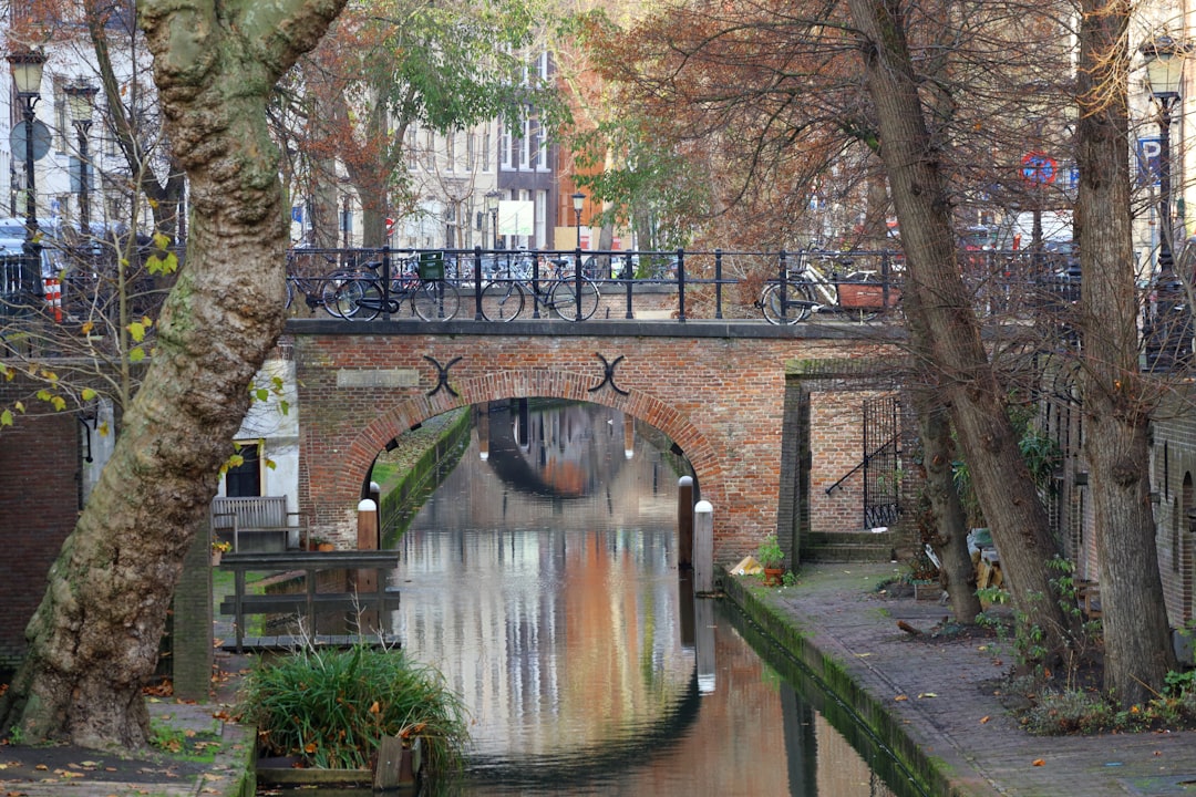 brown concrete bridge over river