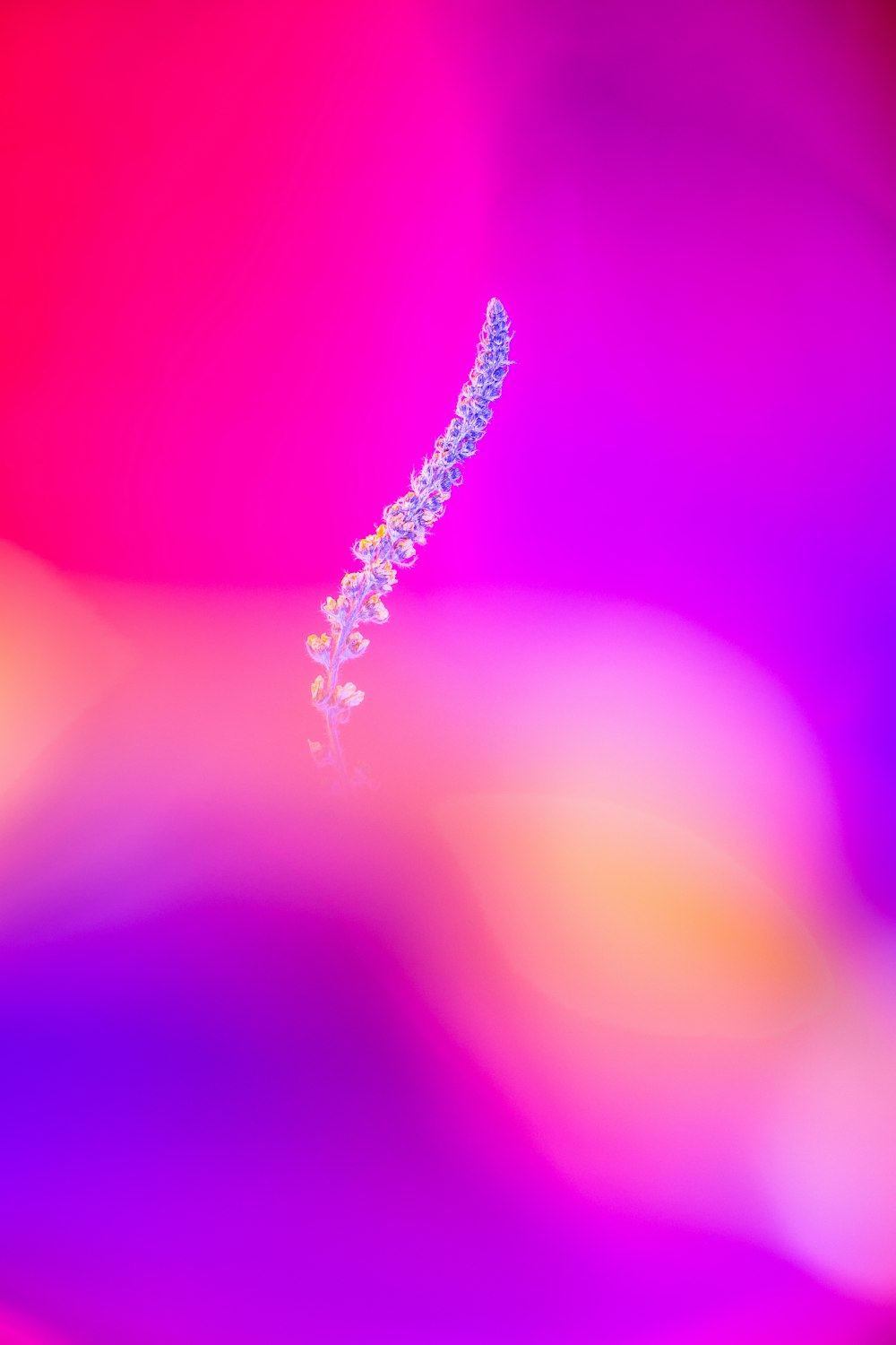 water droplets on pink background