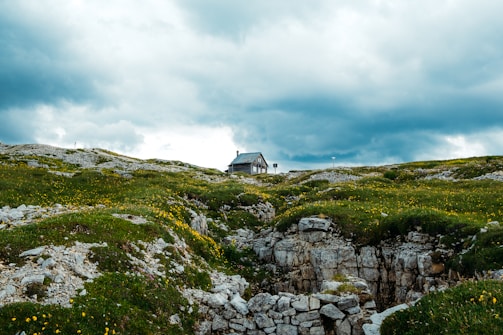 A solitary wooden cabin nestled among windswept grasses with mountains in the distance.