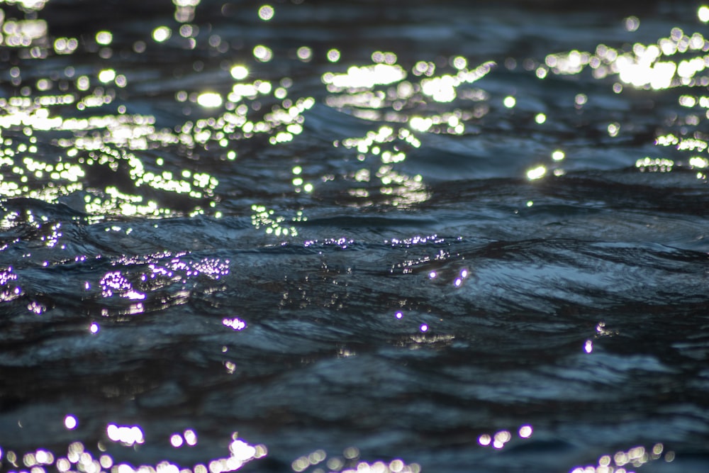 water droplets on body of water