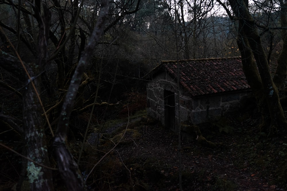 brown wooden house surrounded by trees