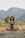 A person meditating peacefully outdoors surrounded by nature.