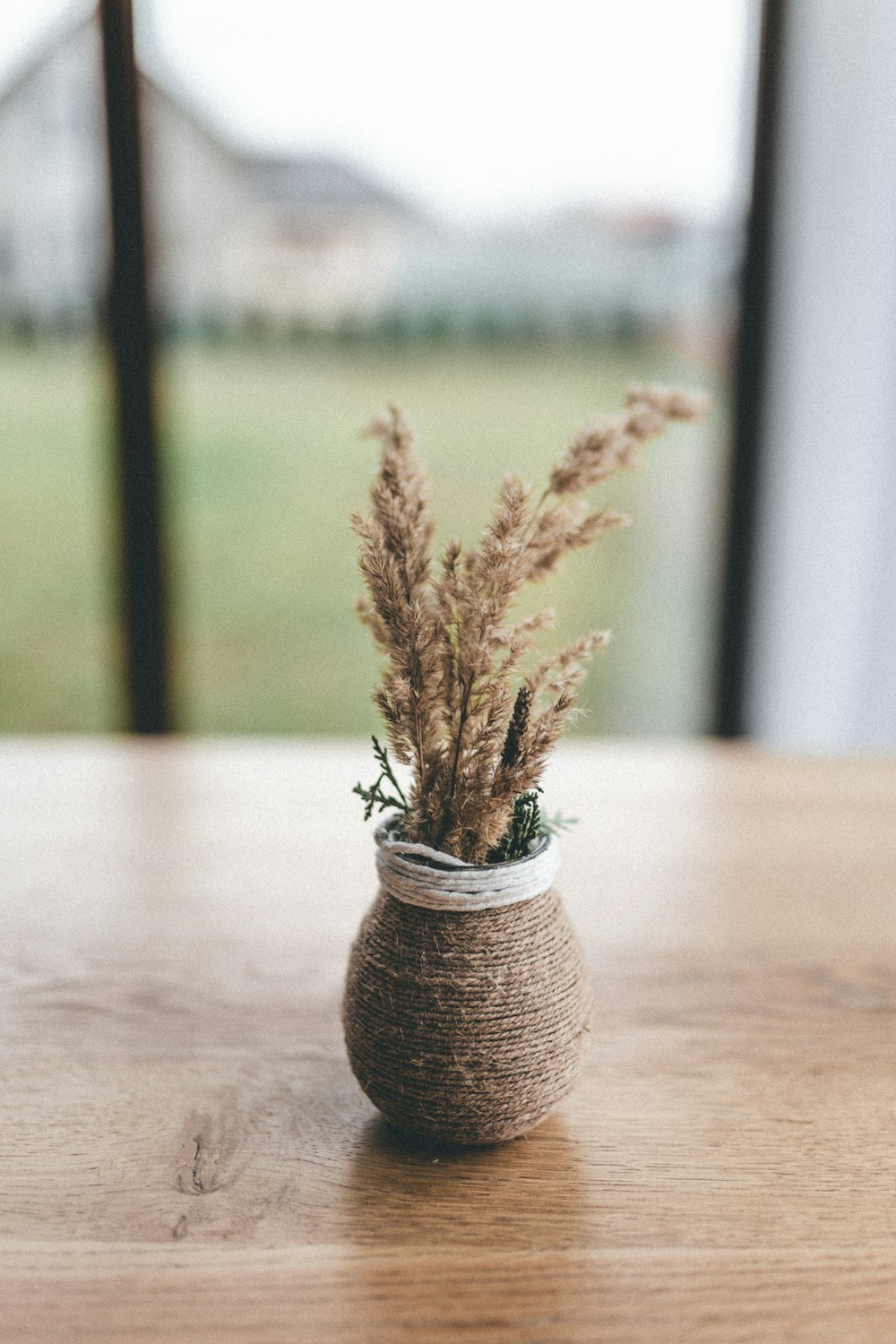 brown plant in brown ceramic vase