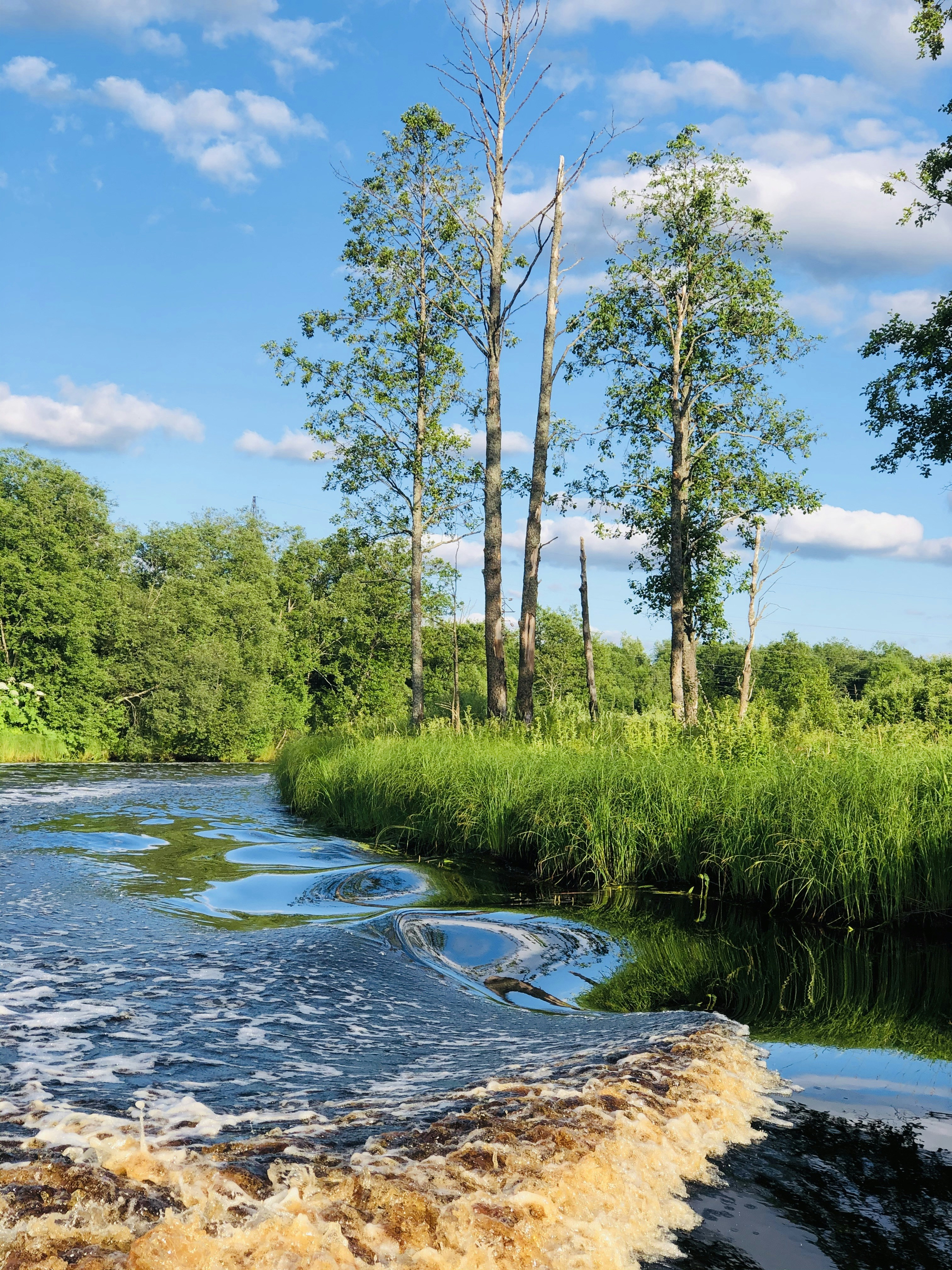 Photo by goldendaria