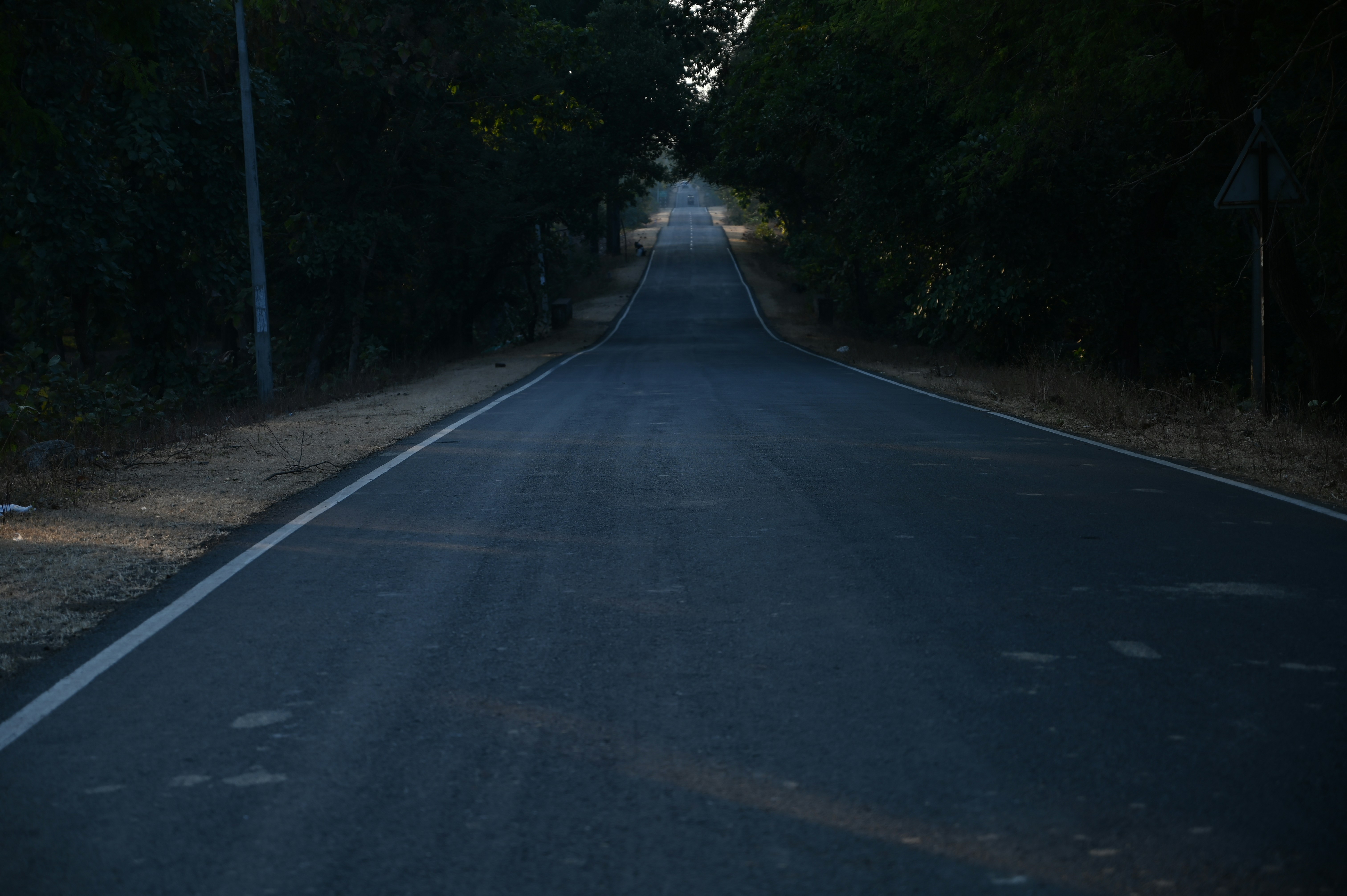 Photo by rrajputphotography