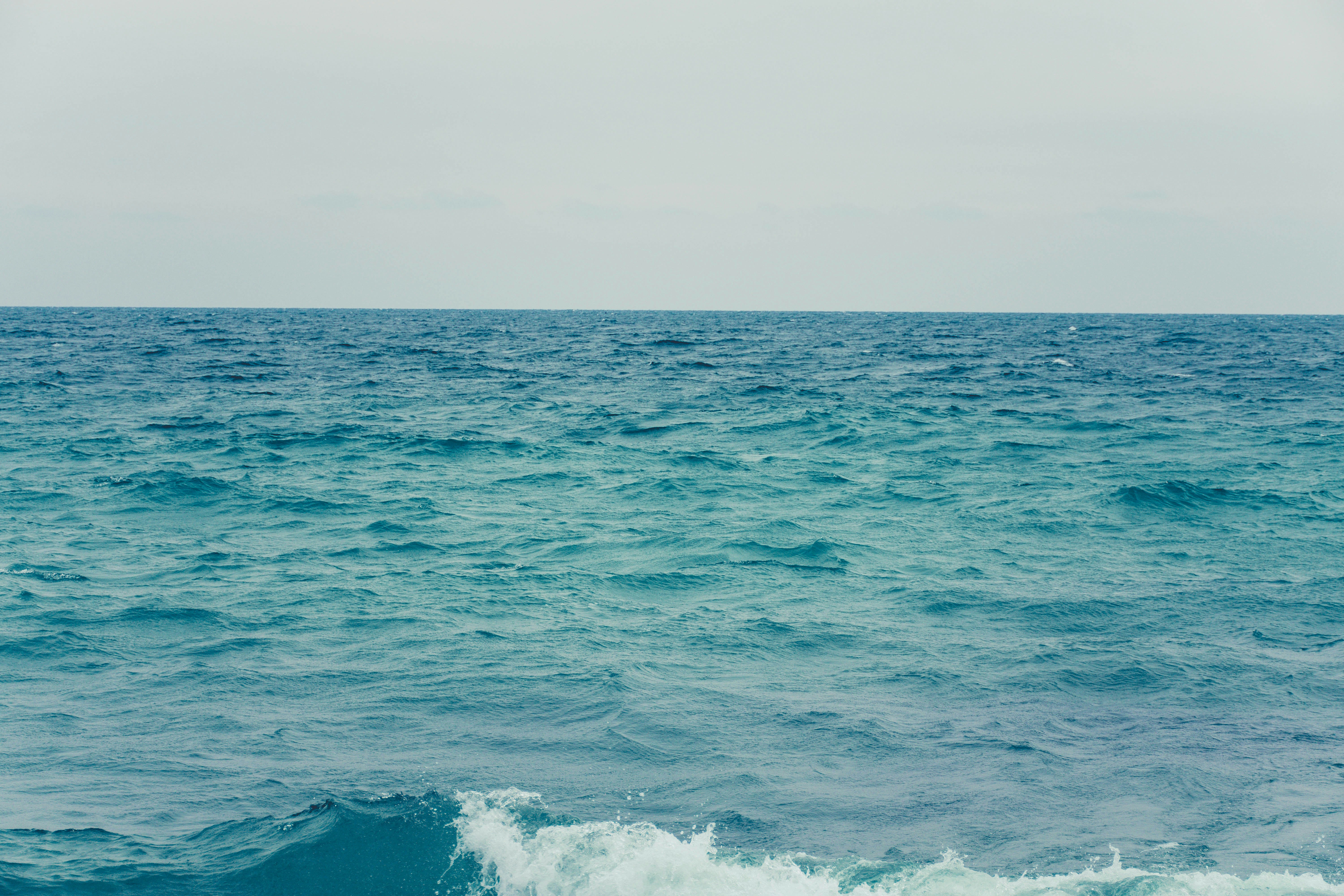 Photo by lucasgwendt