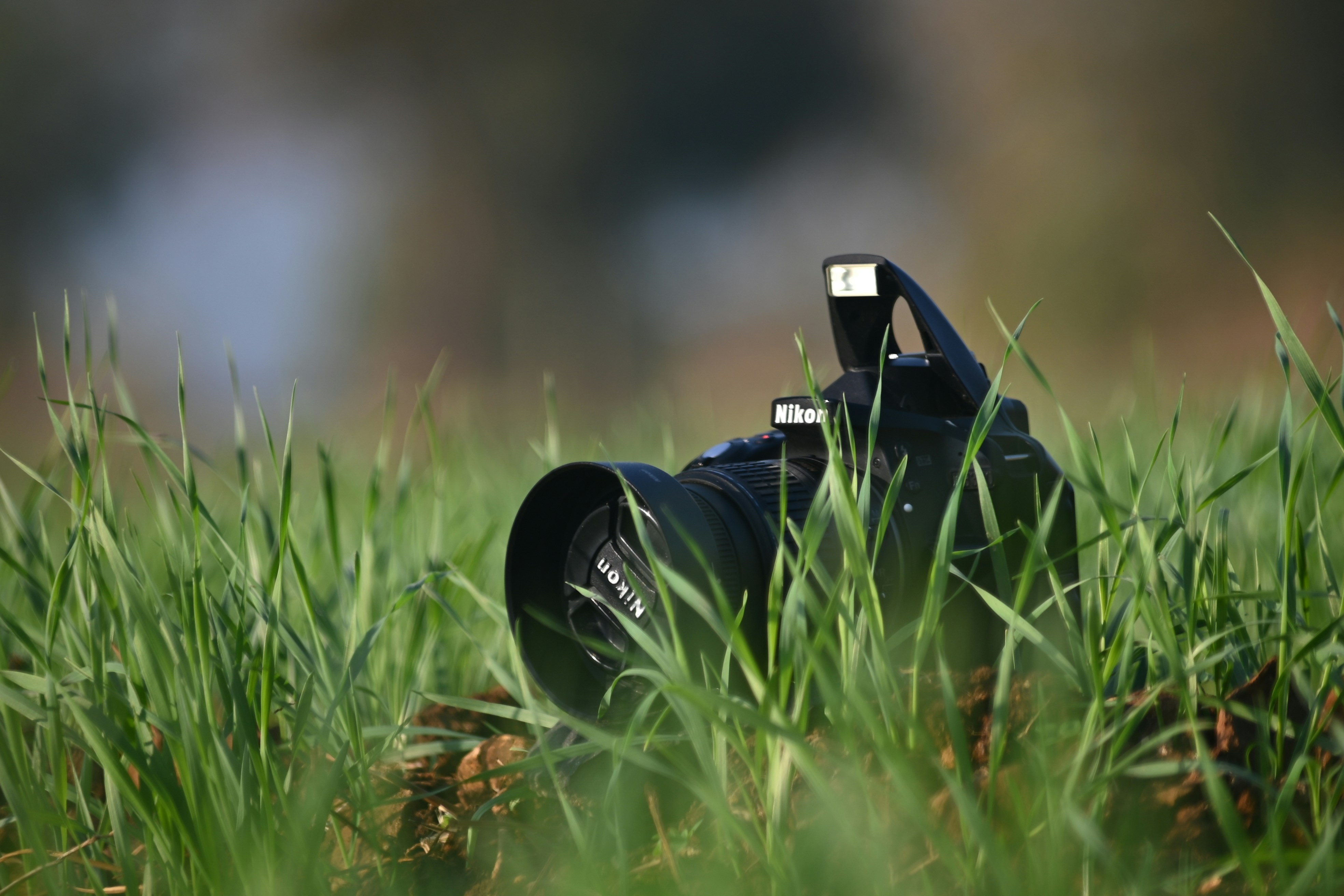 Photo by rrajputphotography