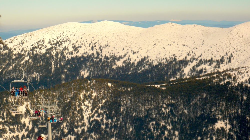 aerial view of green trees and snow covered mountains during daytime