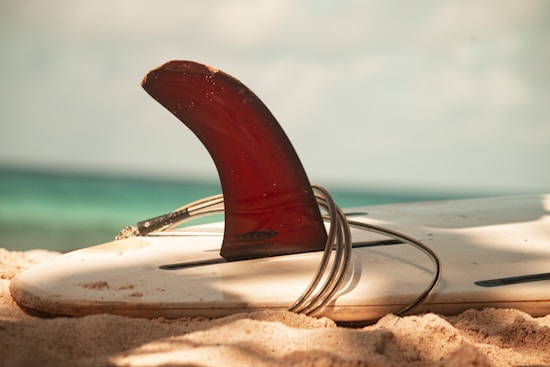 A surfboard is lying on a sandy beach, with a red fin prominently displayed and a coiled leash attached to it. The ocean and sky are visible in the blurred background, suggesting a tropical, serene setting.
