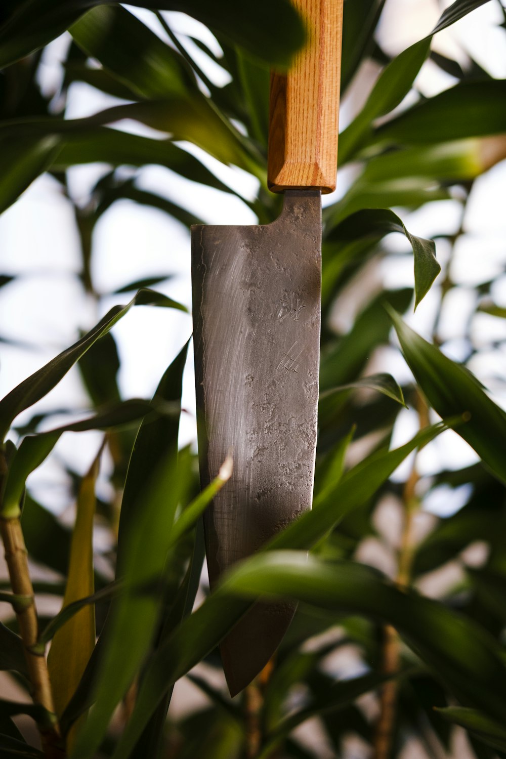 brown wooden stick on green plant