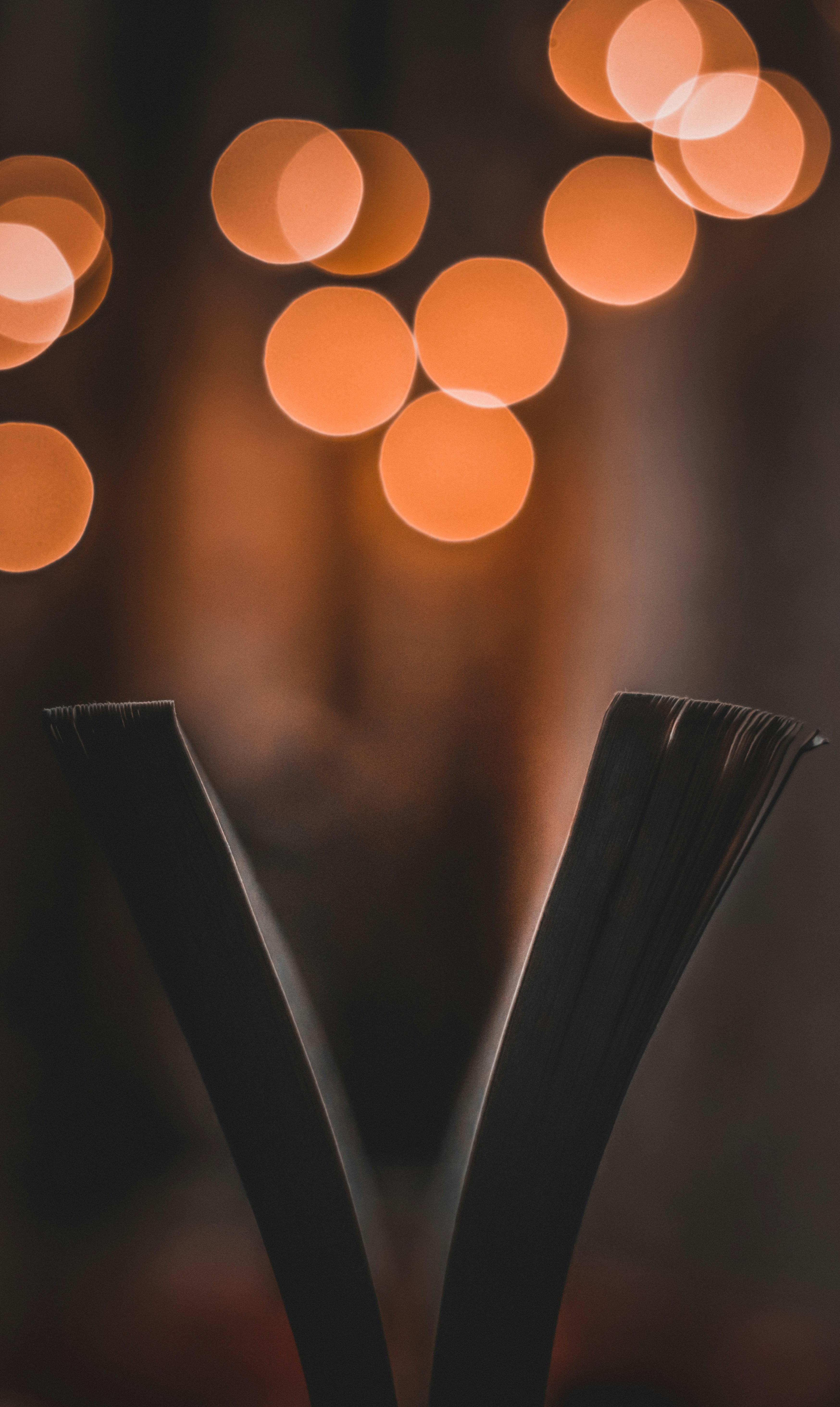 Photo by vvaseemxkhan