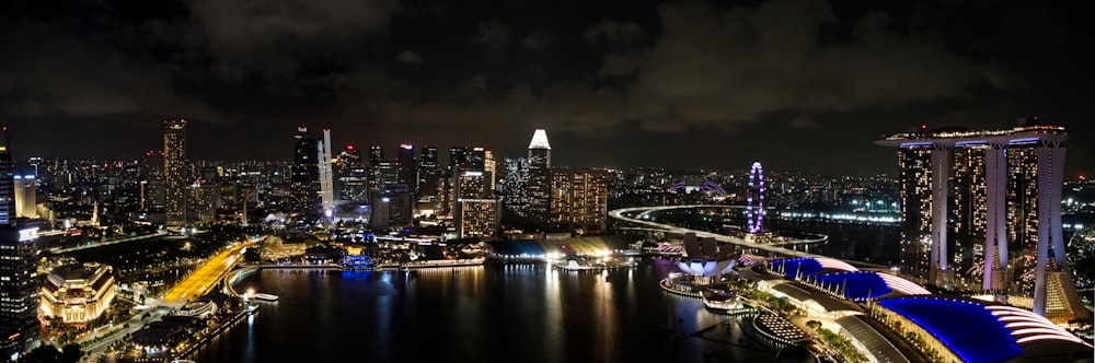 city skyline during night time