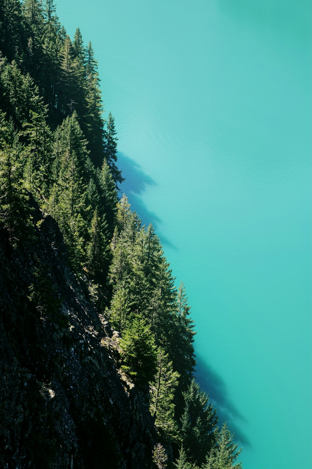 green trees on mountain under blue sky during daytime